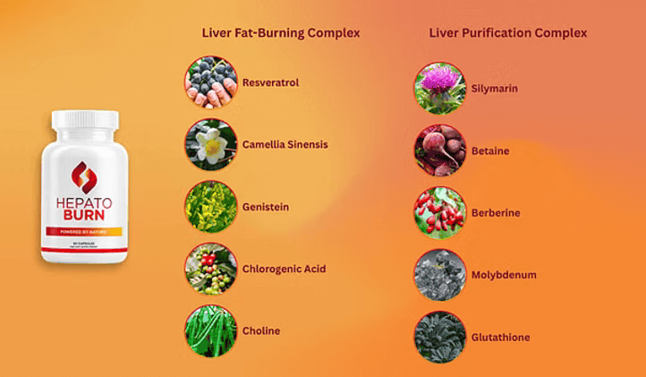hepatoburn ingredients